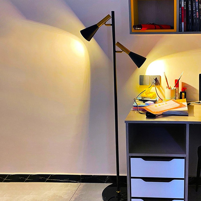 2-Bulb Adjustable Pole Floor Lamp | Desfino