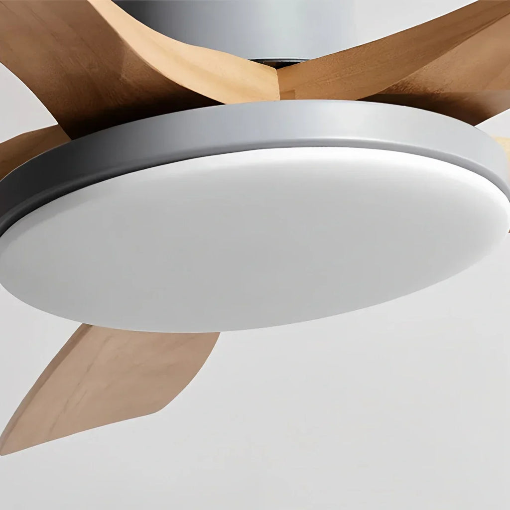 Living Room Minimalist Ceiling Fan with Light | Desfino