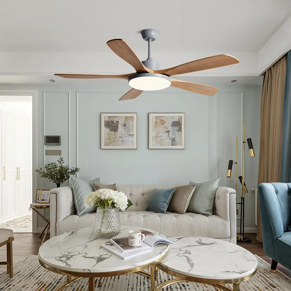 Living Room Minimalist Ceiling Fan with Light | Desfino