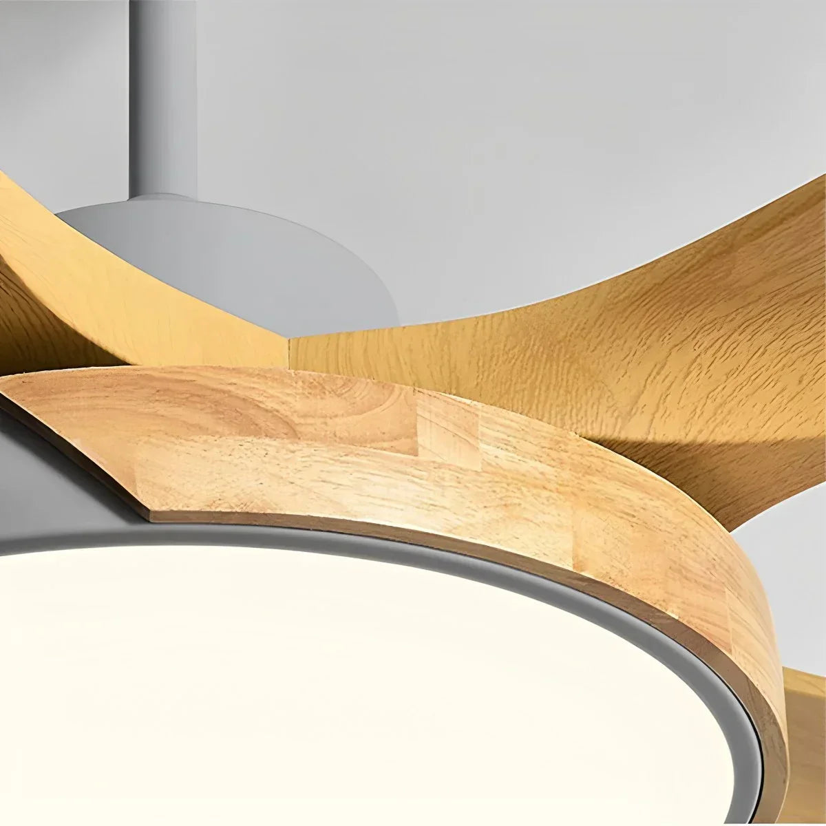 Nordic Living Room Ceiling Fan with Light | Desfino