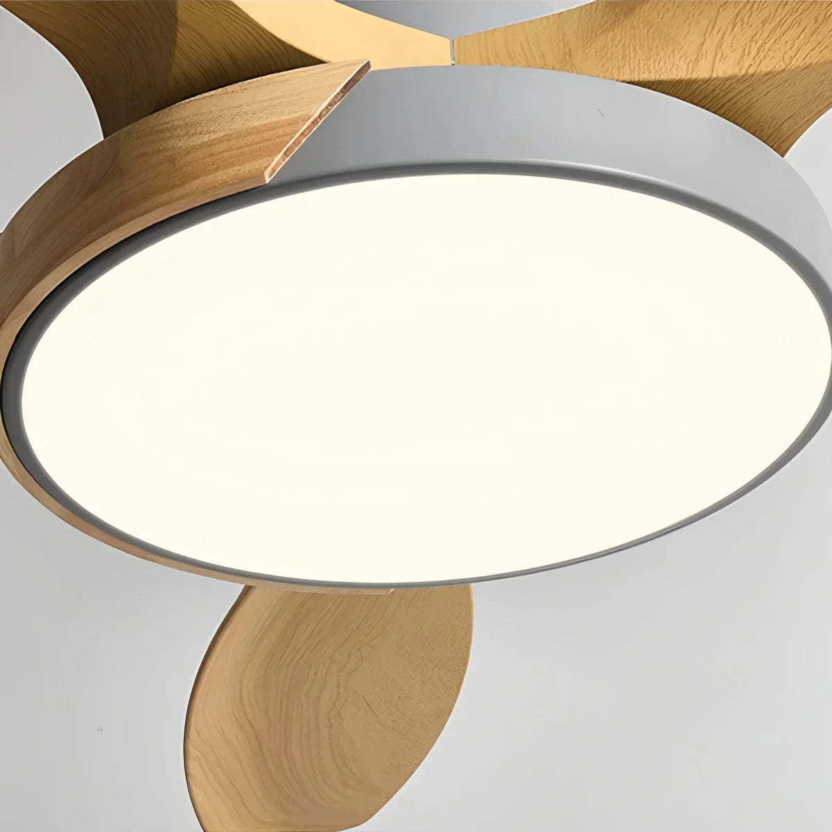 Nordic Living Room Ceiling Fan with Light | Desfino