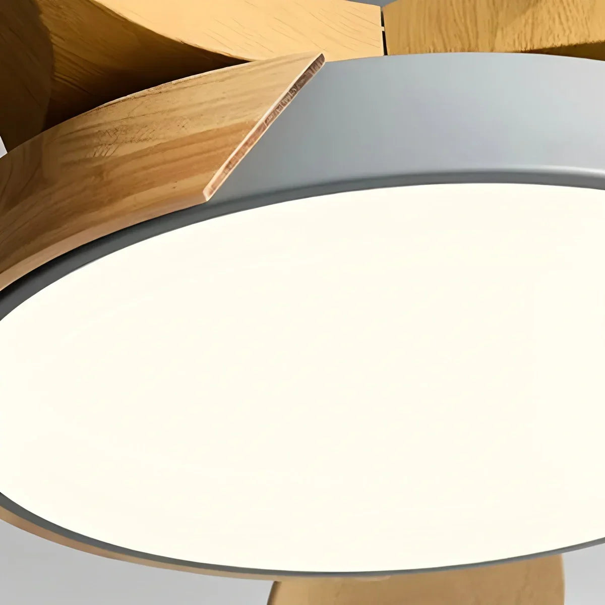 Nordic 5-Blade LED Ceiling Fan Light | Desfino