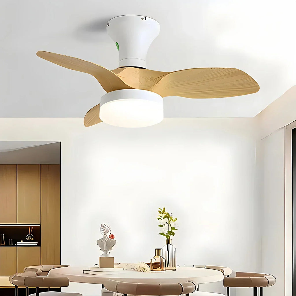 Small Propeller Ceiling Fan With Light | Desfino