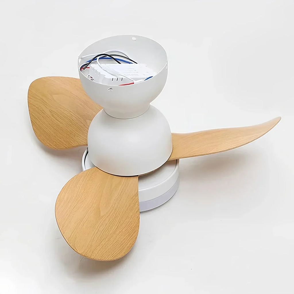Small Propeller Ceiling Fan With Light | Desfino