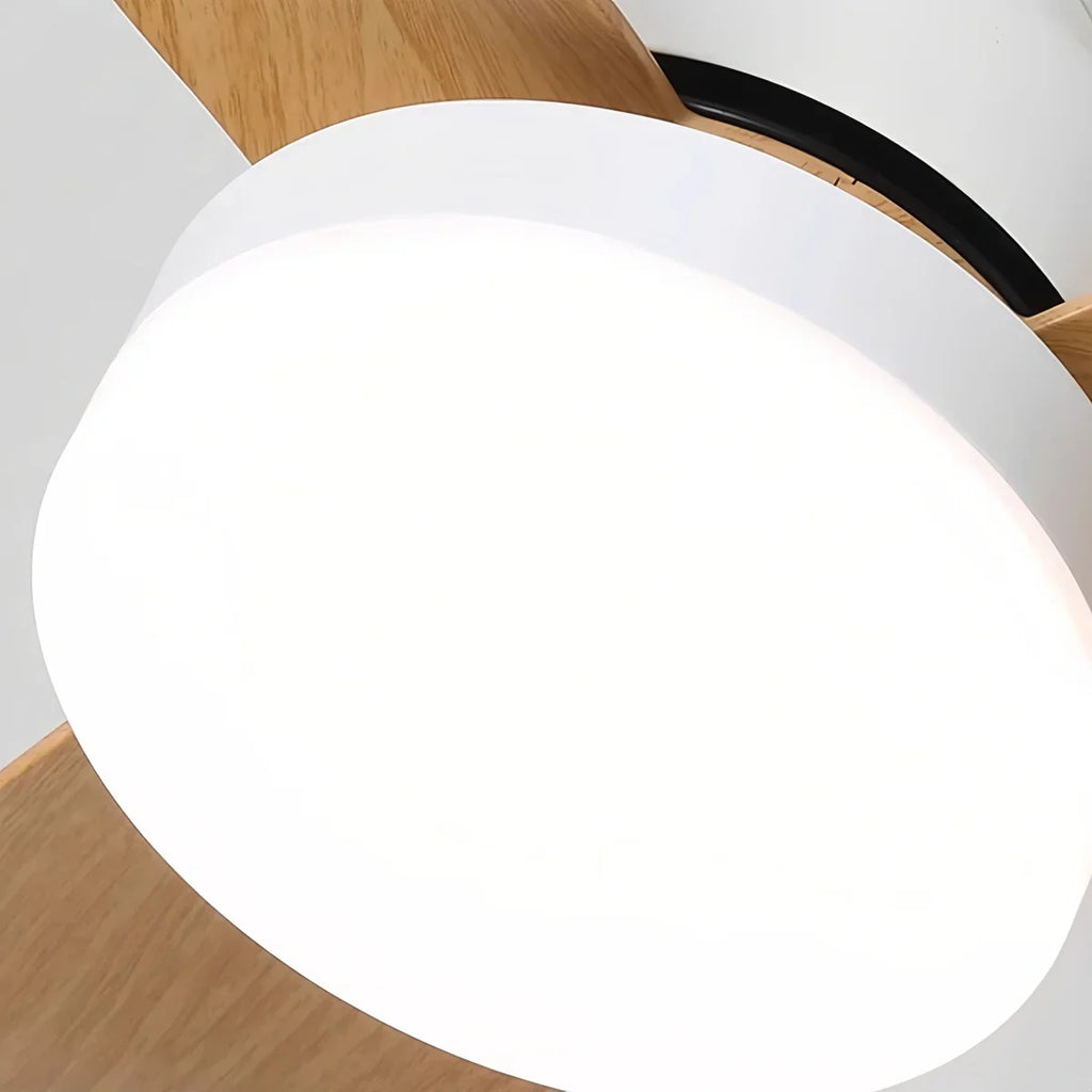 Small Propeller Ceiling Fan With Light | Desfino