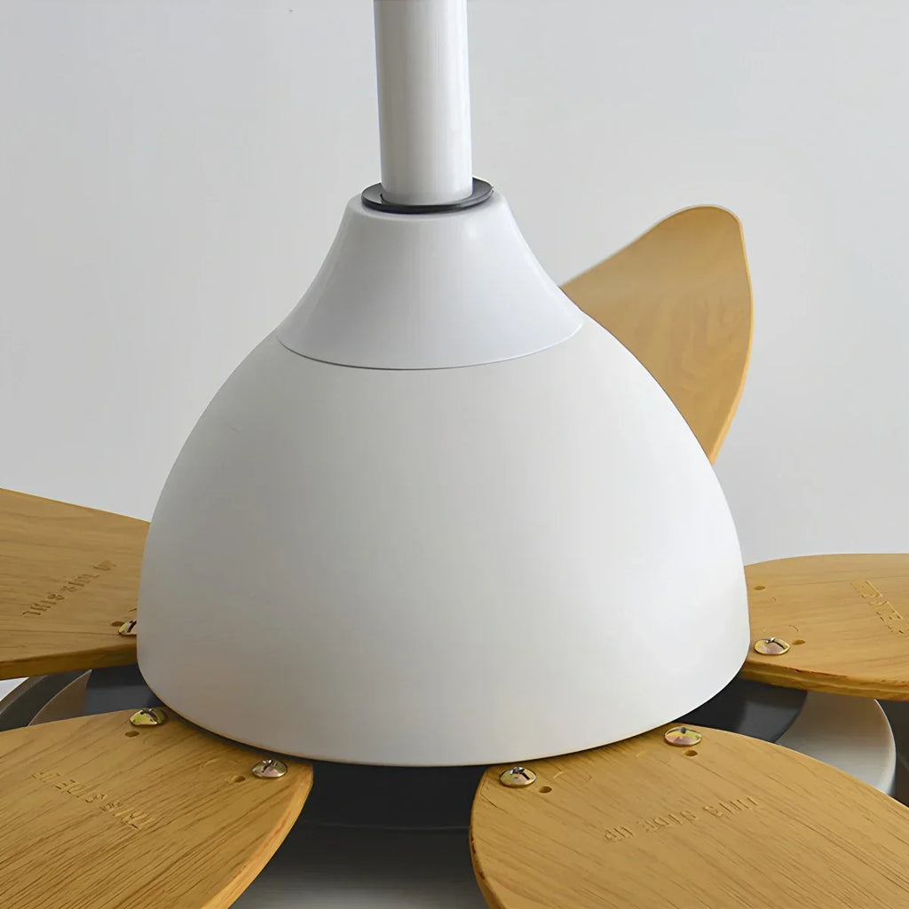 Moderner Deckenventilator mit 5 Flügeln und Lampe | Desfino
