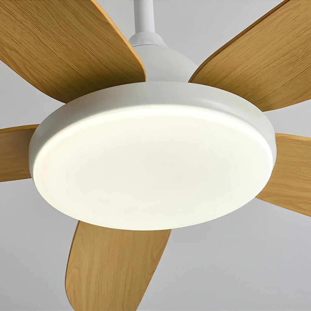 Moderner Deckenventilator mit 5 Flügeln und Lampe | Desfino