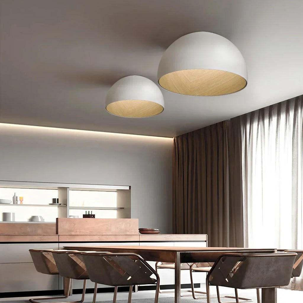 Duo Plane/Slanted Ceiling Lamp | Desfino