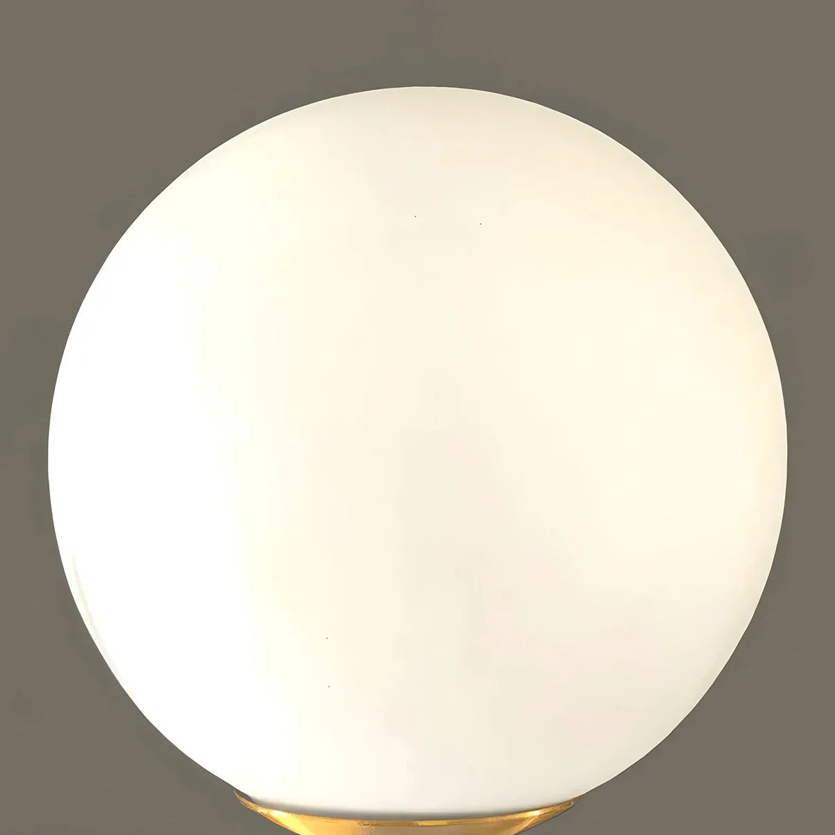 Ginkgo Pendant Lamp for Dining Table | Desfino