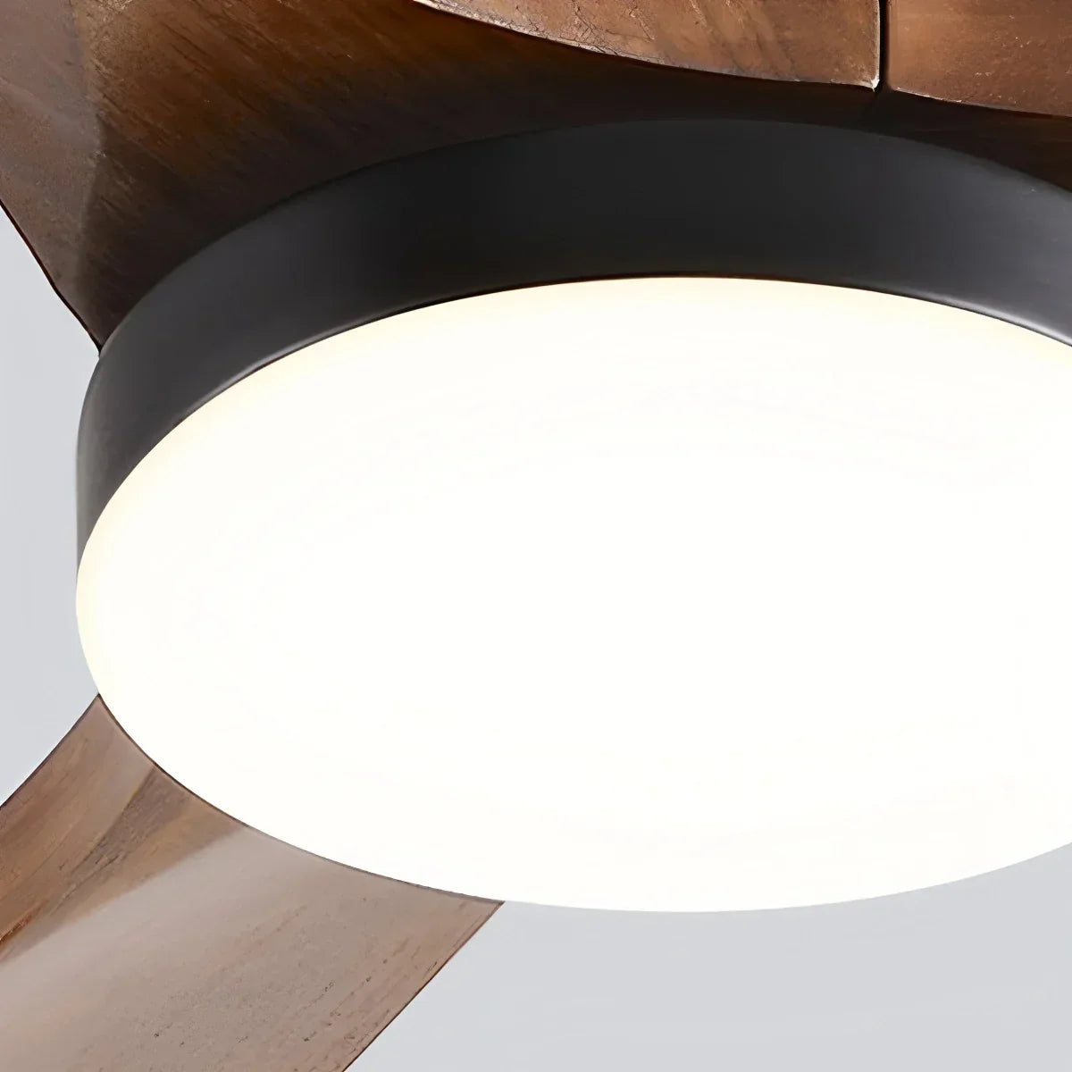 Large Low Profile Ceiling Fan with Light | Desfino
