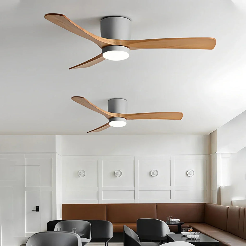 Large Low Profile Ceiling Fan with Light | Desfino