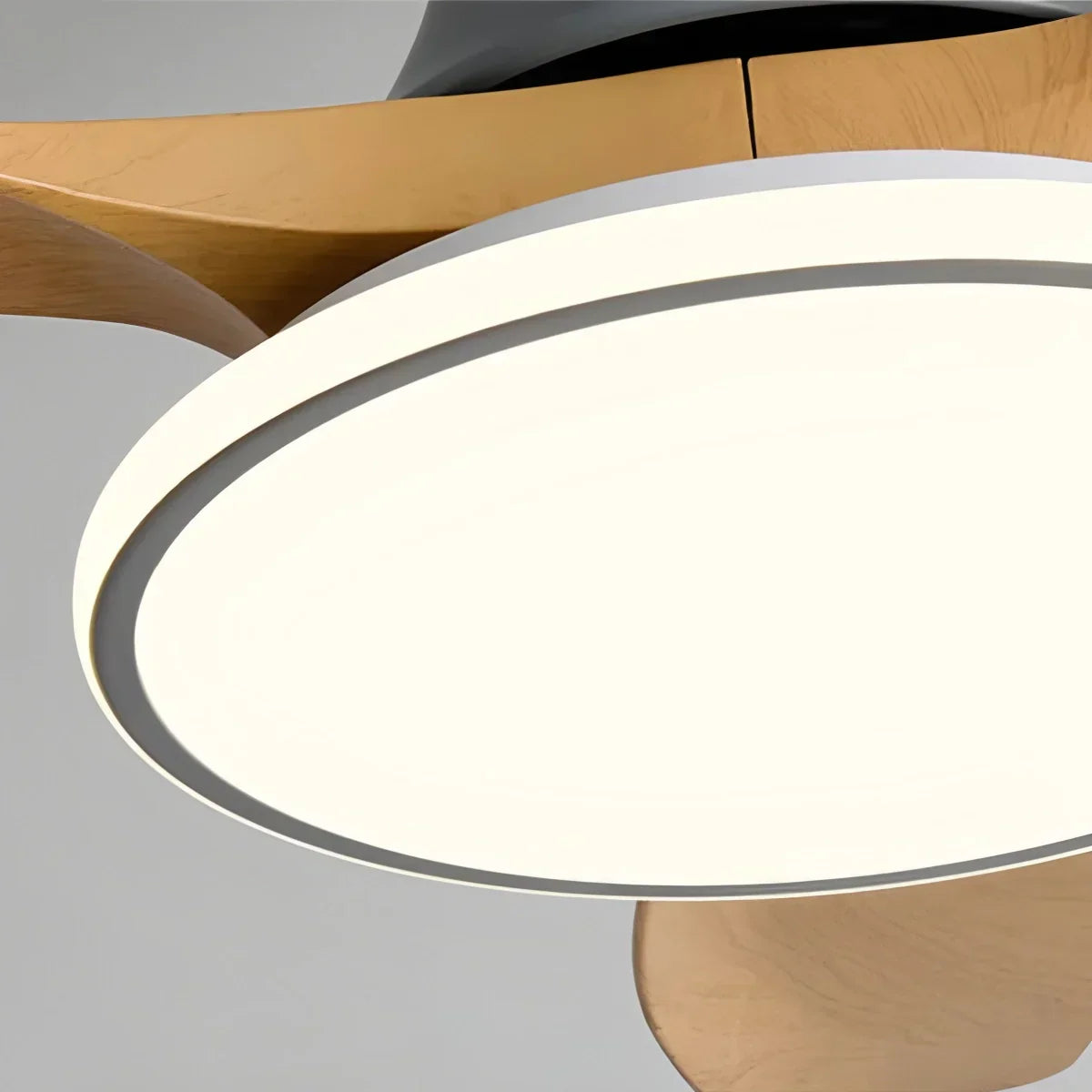 Modern 3 Blade Ceiling Fan with Light | Desfino
