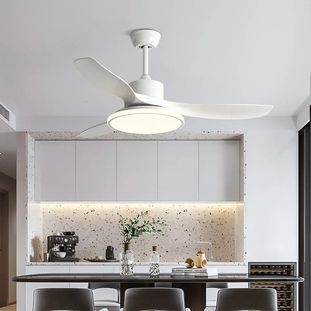 Modern 3 Blade Ceiling Fan with Light | Desfino