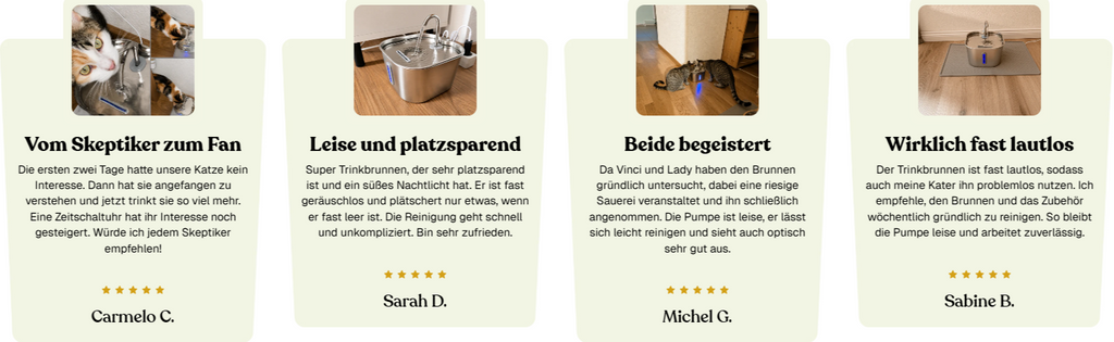 2.2-L-Edelstahl-Trinkbrunnen für Katzen – leise Pumpe, gefilterter Wasserfluss - Desfino