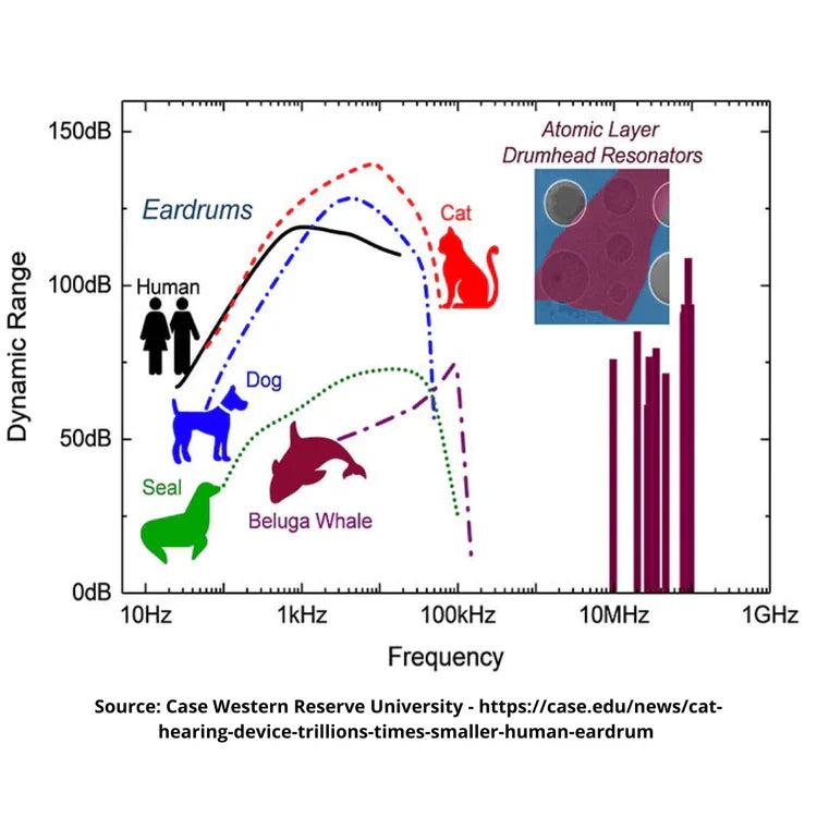 Solární odpuzovač domácích mazlíčků s aktivací pohybem — ultrazvuková ochrana a blikající světla