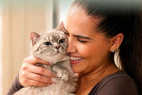 4L Stainless Steel Cat Water Fountain — Quiet Pump, Multi-Stage Filtration