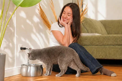 4L Stainless Steel Cat Water Fountain — Quiet Pump, Multi-Stage Filtration