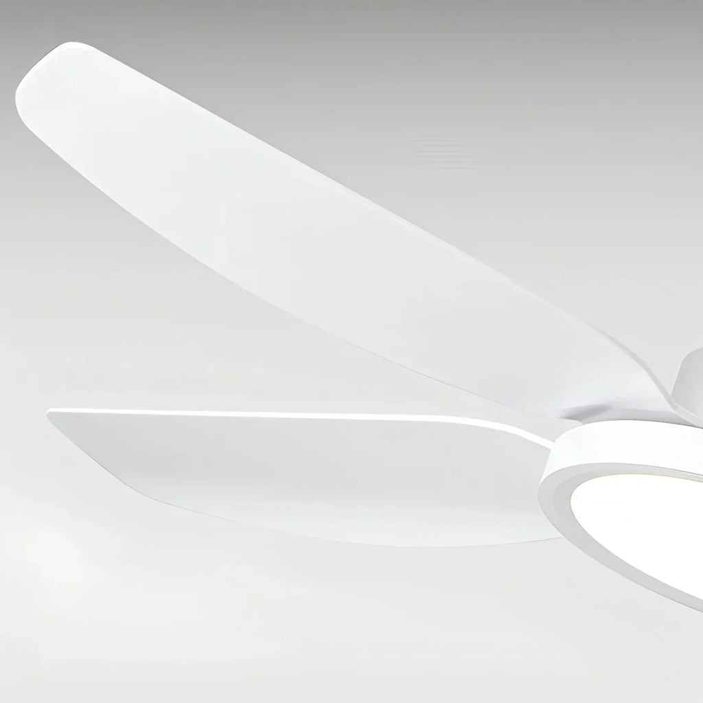 Modern White Ceiling Fans with Lights and Remote | Desfino