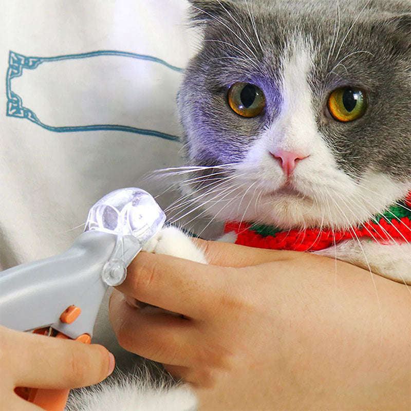 PawGuard Pro -kynsisakset — sisäänrakennetut älykkäät pikakilven tunnistimet - Desfino