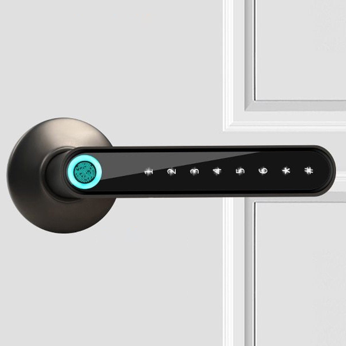 Serratura smart per porta con impronta digitale HomeGuard — Accesso tramite app mobile | Desfino