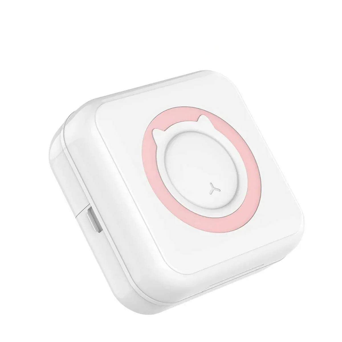 PicoPrint Bluetooth mini-termisk skriver for fotoklistremerker | Desfino