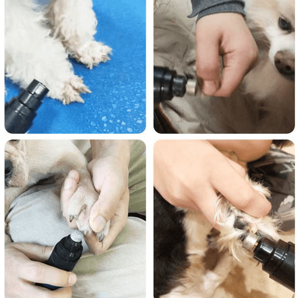 Lima elétrica silenciosa para unhas de animais PawEase — Recarregável por USB, menos de 50dB - Desfino