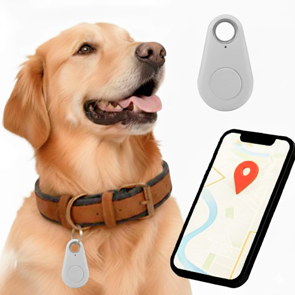 Kirra GPS-es kutyanyomkövető — Apple Find My-riasztások, IP67-es vízállóság, 10 g - Desfino