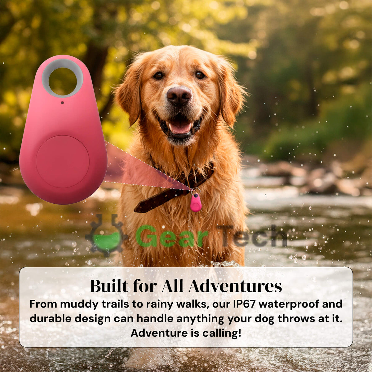 Kirra GPS Dog Tracker — Apple Find My Alerts, IP67 Waterproof, 10 g - Desfino