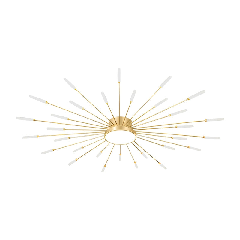 Fireworks Swirl Ceiling Light for Living Room | Desfino