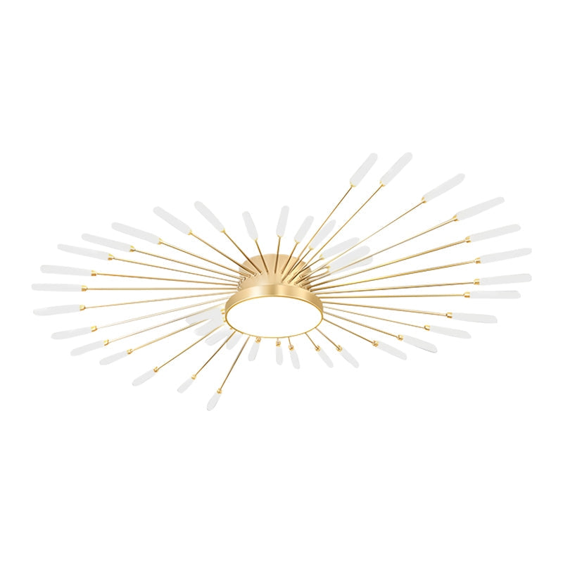 Fireworks Swirl Ceiling Light for Living Room | Desfino