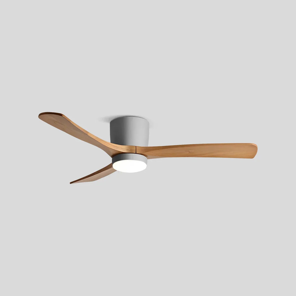 Large Low Profile Ceiling Fan with Light | Desfino