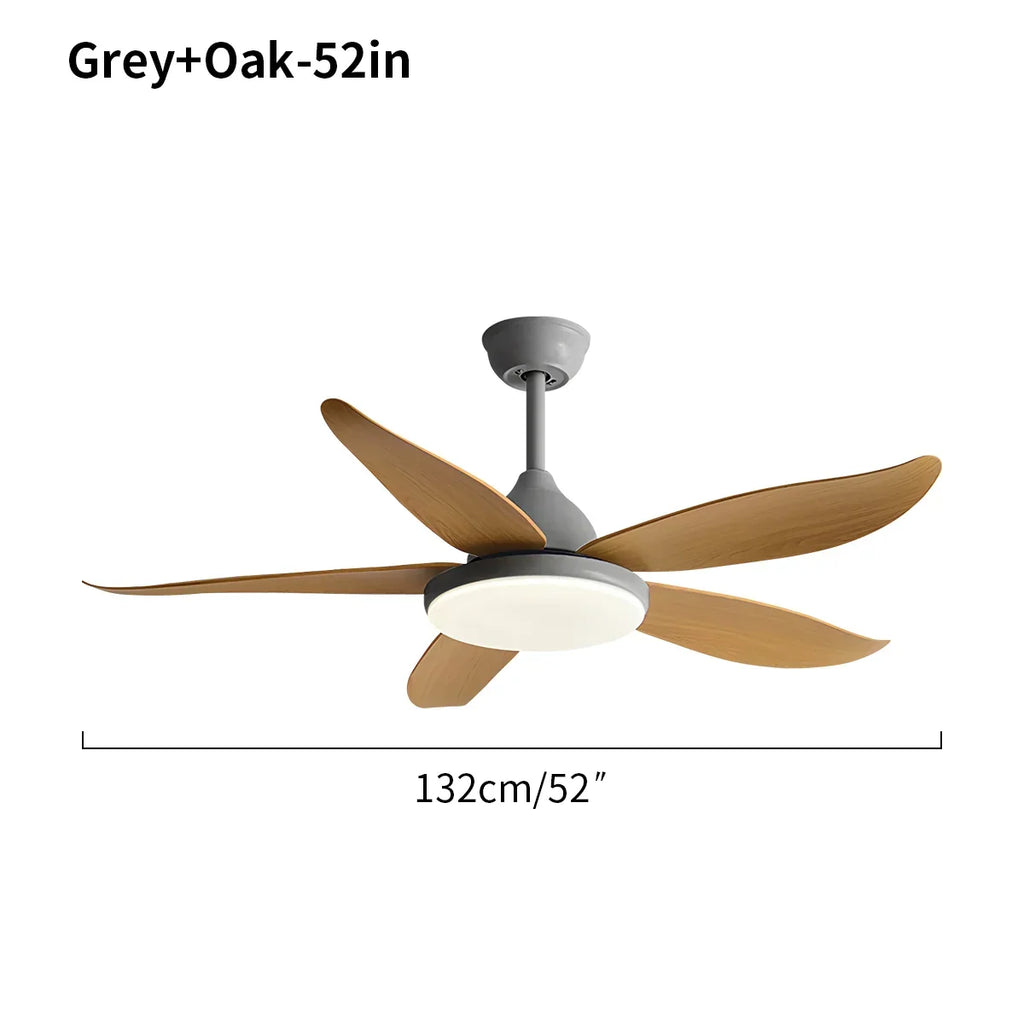 Moderner Deckenventilator mit 5 Flügeln und Lampe | Desfino
