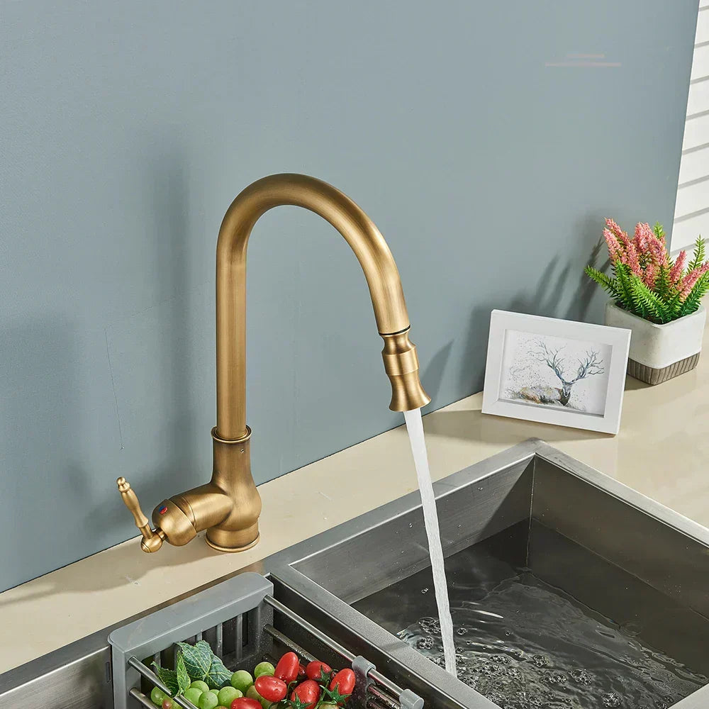 EraTap Antique Brass Kitchen Faucet — Swivel Spout, Black Detail - Desfino
