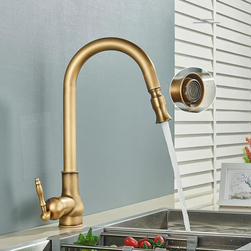 EraTap Antique Brass Kitchen Faucet — Swivel Spout, Black Detail - Desfino