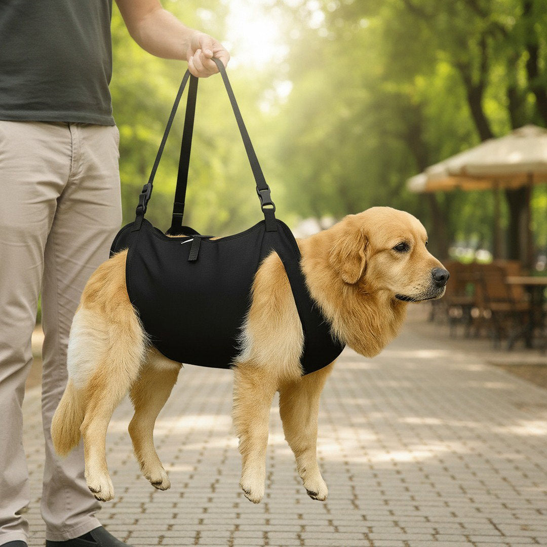 Hundebærehjælp – ergonomisk løftesele til store hunde - Desfino