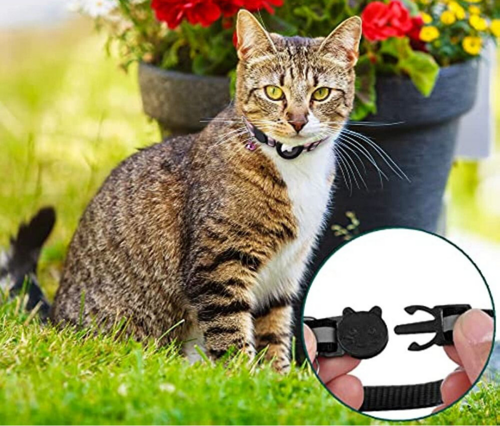 Collier réfléchissant pour chat à ouverture rapide - support réglable pour traceur GPS - Desfino