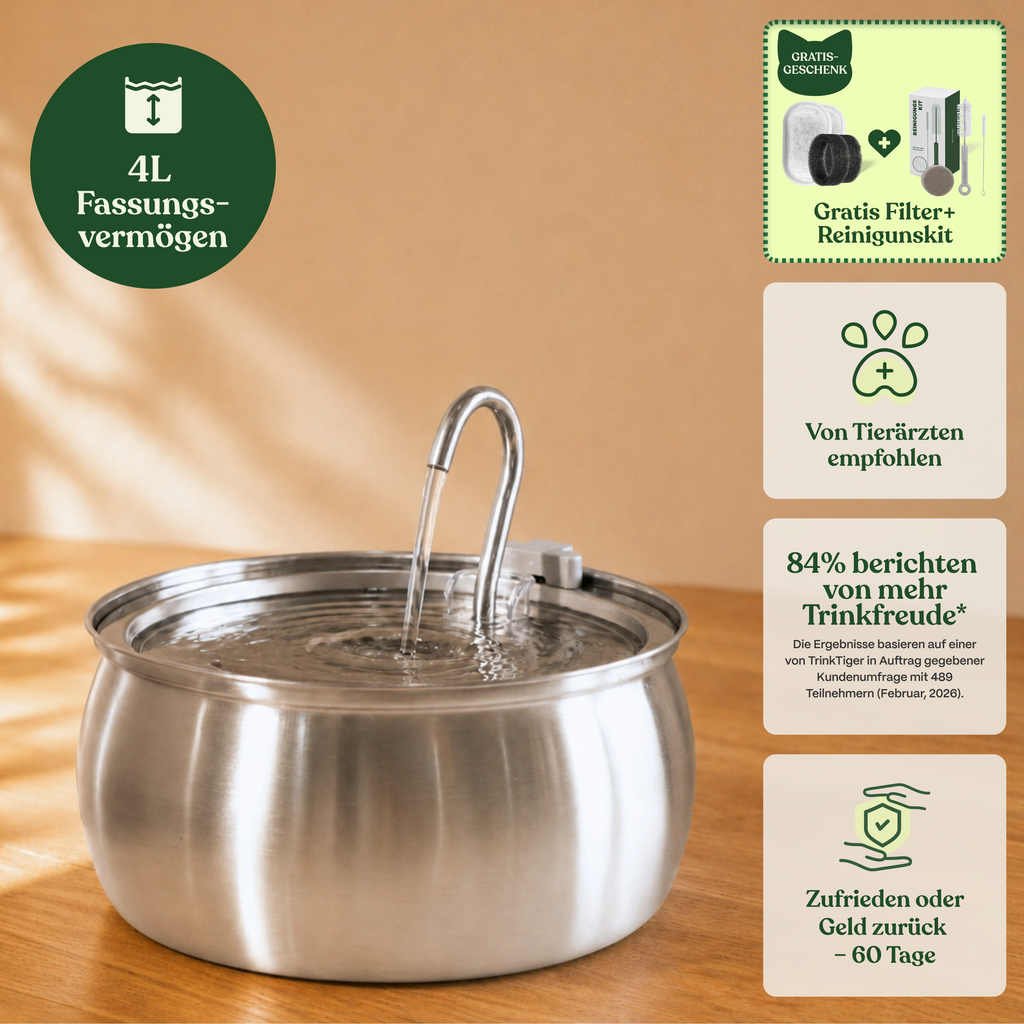 4L Stainless Steel Cat Water Fountain — Quiet Pump, Multi-Stage Filtration