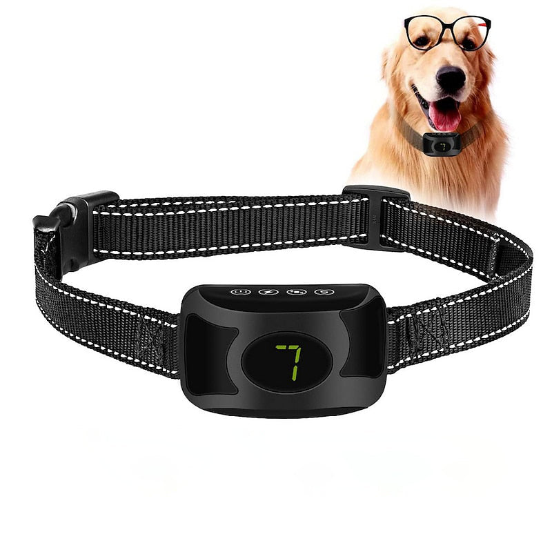 Collier anti-aboiement CanisGuard Pro — Dresseur rechargeable sonore et vibrant, 20–55 cm - Desfino