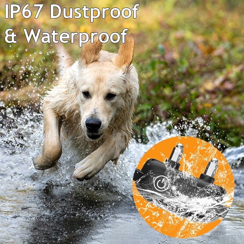 طوق PulsePaw اللاسلكي للتدريب - مدى 1000m، أدوات تحكم قابلة للضبط - Desfino