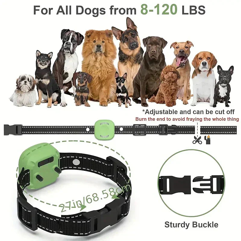 KiroPaw Pro Wasserdichtes Trainingshalsband — Signalton, Vibration & Licht | Desfino
