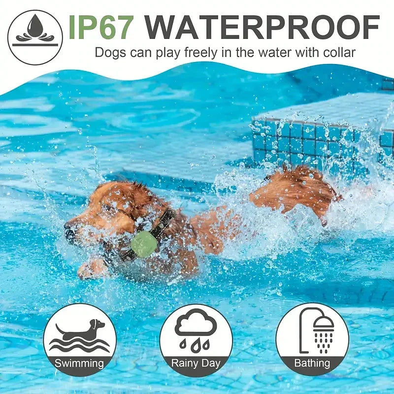KiroPaw Pro Wasserdichtes Trainingshalsband — Signalton, Vibration & Licht | Desfino