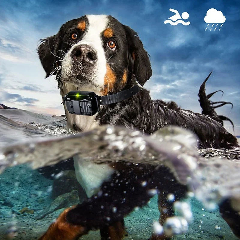 KairoPaw 训犬项圈 — 300m遥控，4种模式 - Desfino