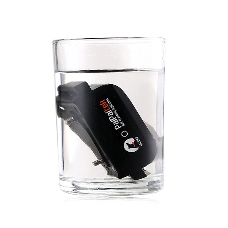 Collar impermeable recargable ZenRidge — 1000m, descarga/vibración/pitido - Desfino