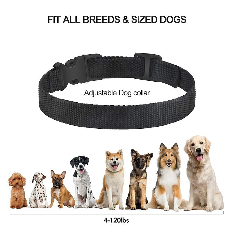 CanineGuard Pro Obroża antyszczekowa — regulowana czułość, sygnał dźwiękowy/impuls statyczny - Desfino