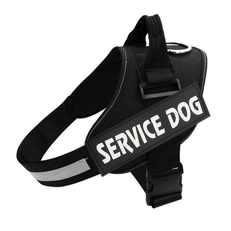 PawGuard Pro -säädettävät valjaat — rintakehää tukevalla talutushihnarakenteella - Desfino