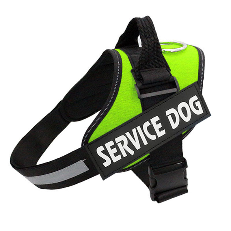 PawGuard Pro -säädettävät valjaat — rintakehää tukevalla talutushihnarakenteella - Desfino