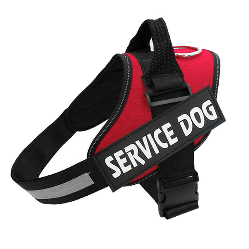 PawGuard Pro -säädettävät valjaat — rintakehää tukevalla talutushihnarakenteella - Desfino