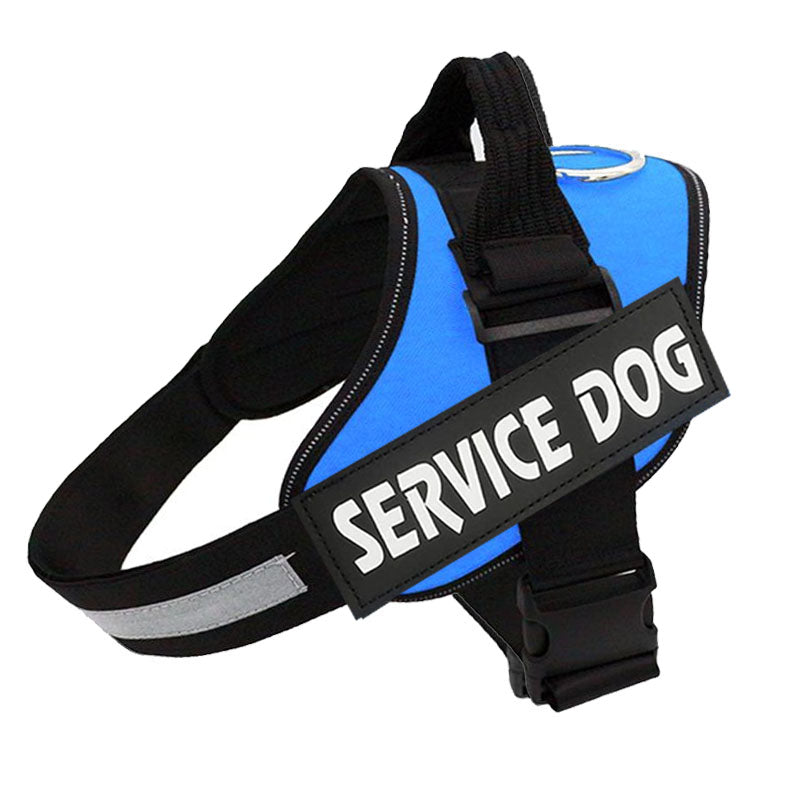 PawGuard Pro -säädettävät valjaat — rintakehää tukevalla talutushihnarakenteella - Desfino