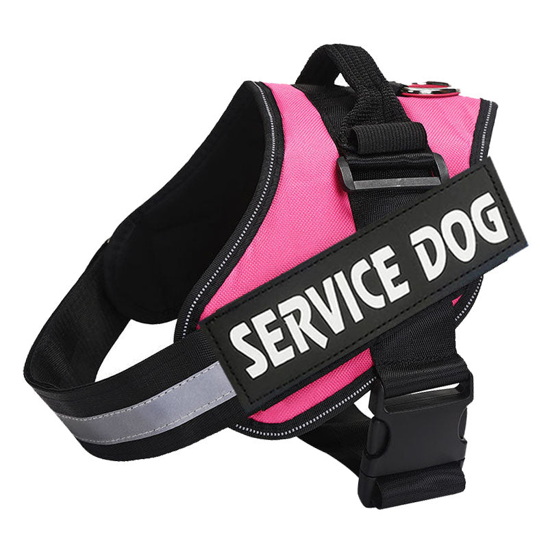 PawGuard Pro -säädettävät valjaat — rintakehää tukevalla talutushihnarakenteella - Desfino