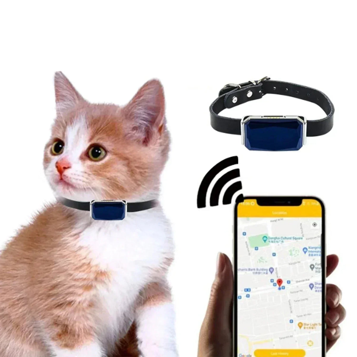 NovaTrace Mini-GPS-Tracker G12 — Echtzeit-Ortung für iOS und Android - Desfino
